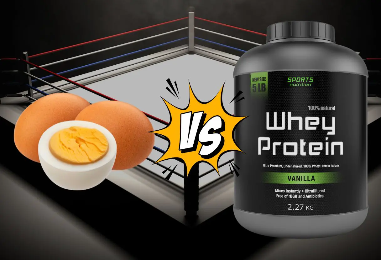 Ovos ou Whey Protein: Qual a Melhor Proteína para Musculação?